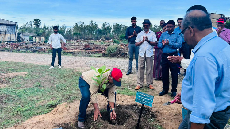 Plantation-1